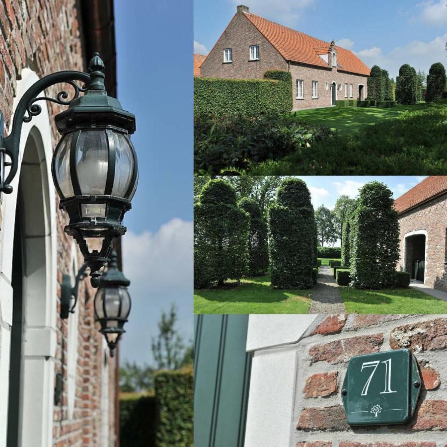 Villa71 Rijkevorsel Exterior foto